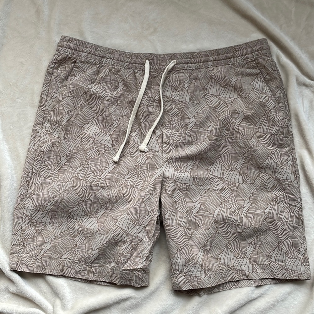Banana Republic Shorts